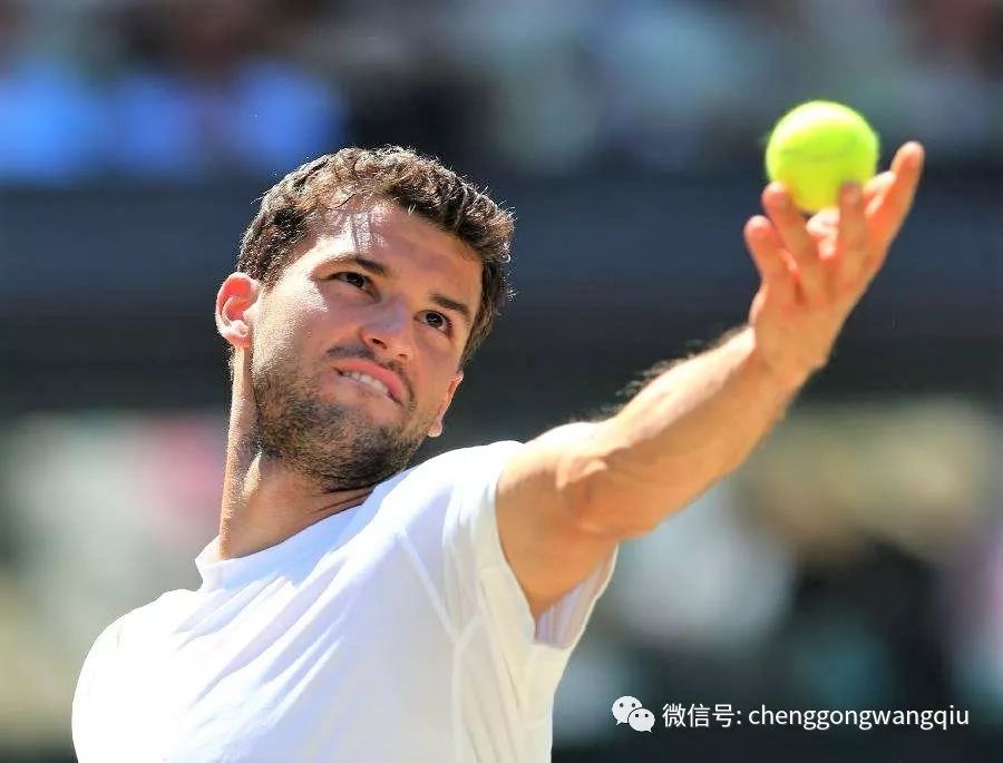 援亚当斯的 援亚当斯的